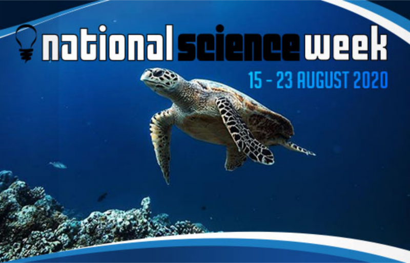 Primary School Science Workshops & Incursions – Mad About Science ...